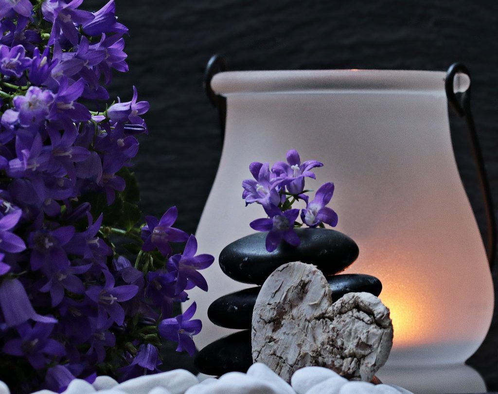 white flower purple petal heart decoration 1279164 pxhere.com scaled